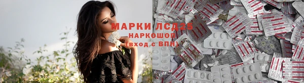 кокс Арсеньев