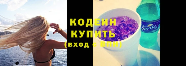 кокс Арсеньев